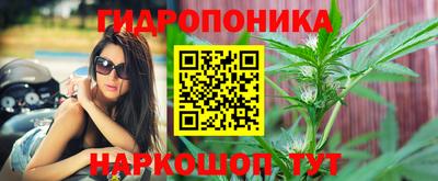 прущая мука Тверь