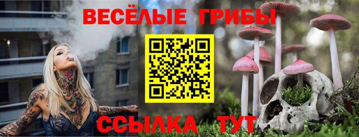 Псилоцибиновые грибы Magic Shrooms  Галлюциногенные грибы GOLDEN TEACHER  Нефтеюганск  Вход с VPN 