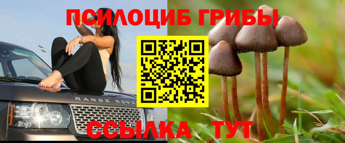 Псилоцибиновые грибы прущие грибы Нефтеюганск